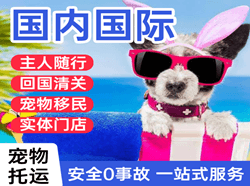 长治王村机场快递国际宠物托运 【国